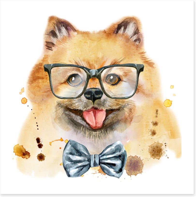 Mr Spitz