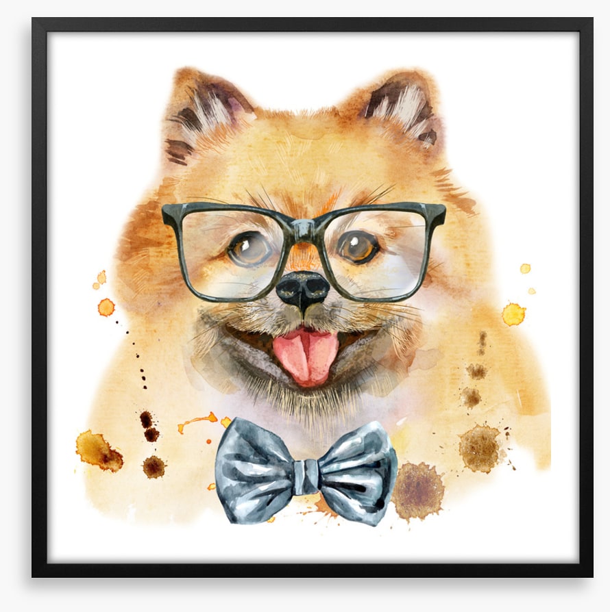 Mr Spitz