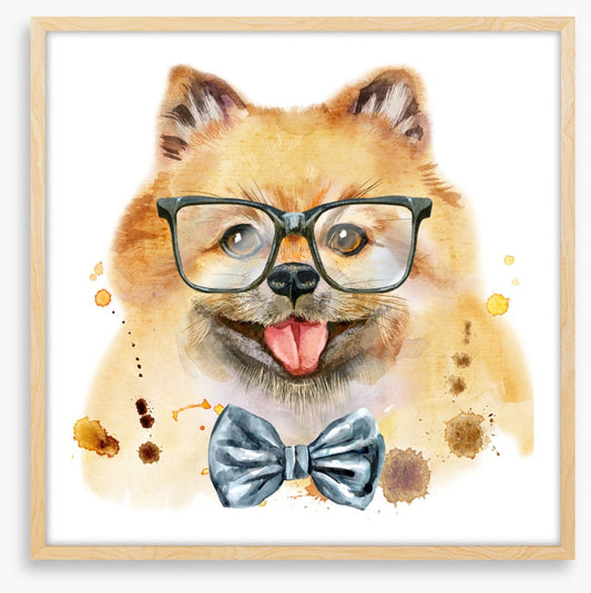 Mr Spitz