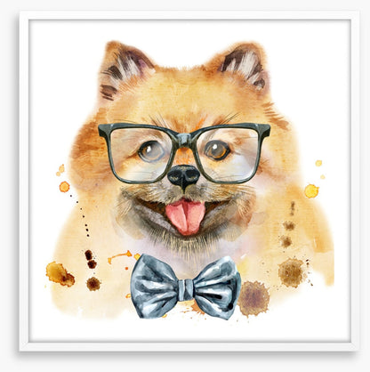 Mr Spitz