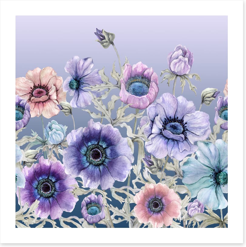 Awakening anemone