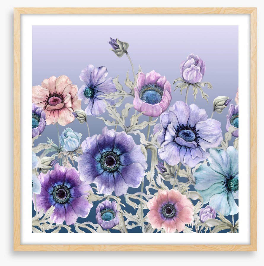Awakening anemone