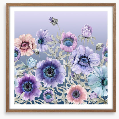 Awakening anemone