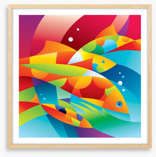 Colourful fishes in the coral
