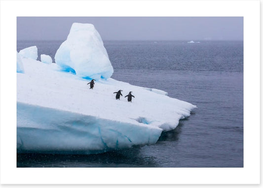 Glaciers