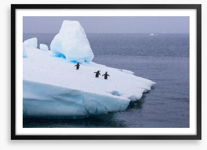 Glaciers