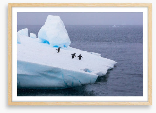 Glaciers