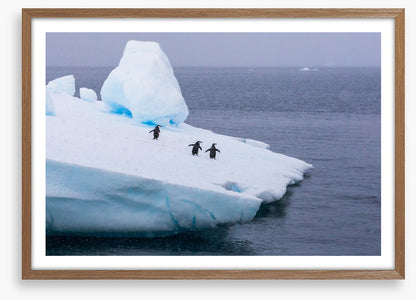 Glaciers