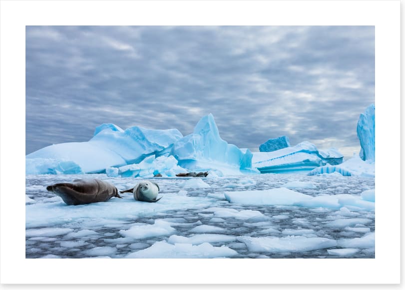 Glaciers