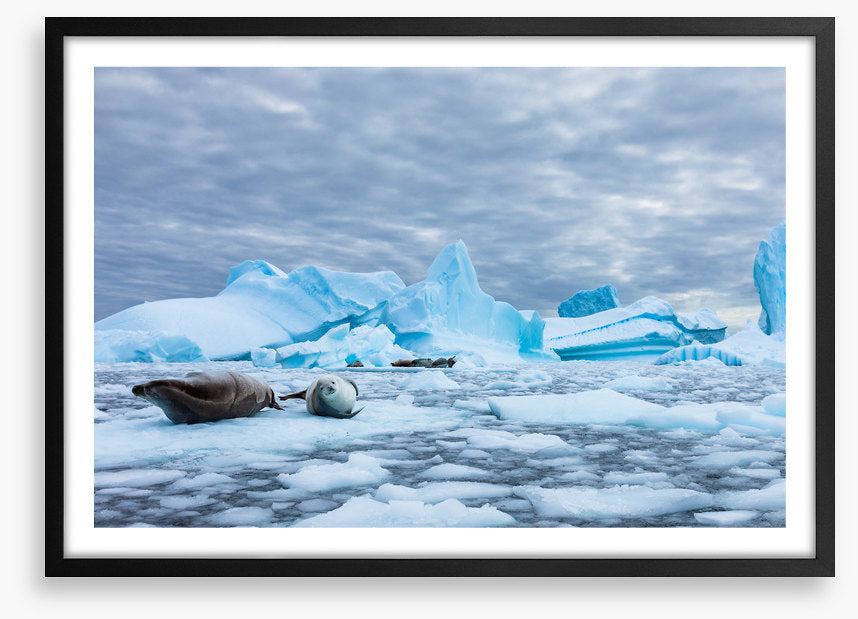 Glaciers