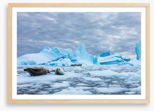 Glaciers