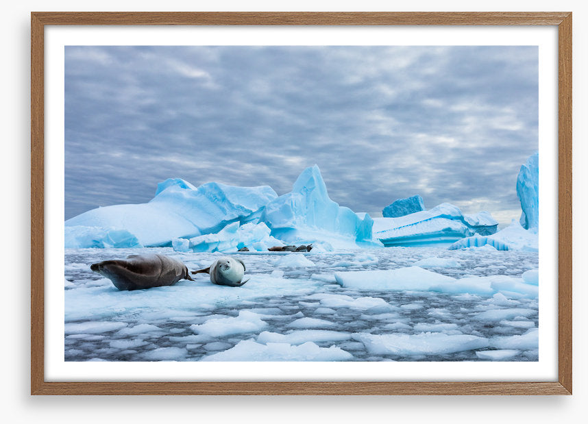 Glaciers
