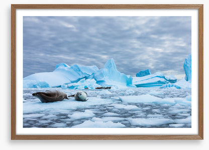 Glaciers