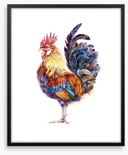 Rooster ruffles