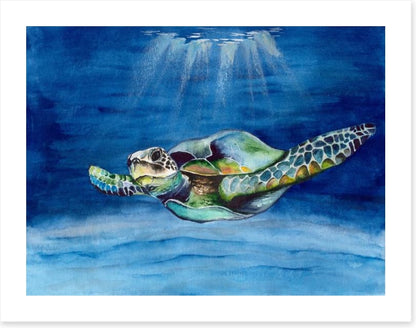 Green sea turtle