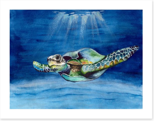 Green sea turtle