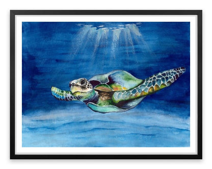 Green sea turtle