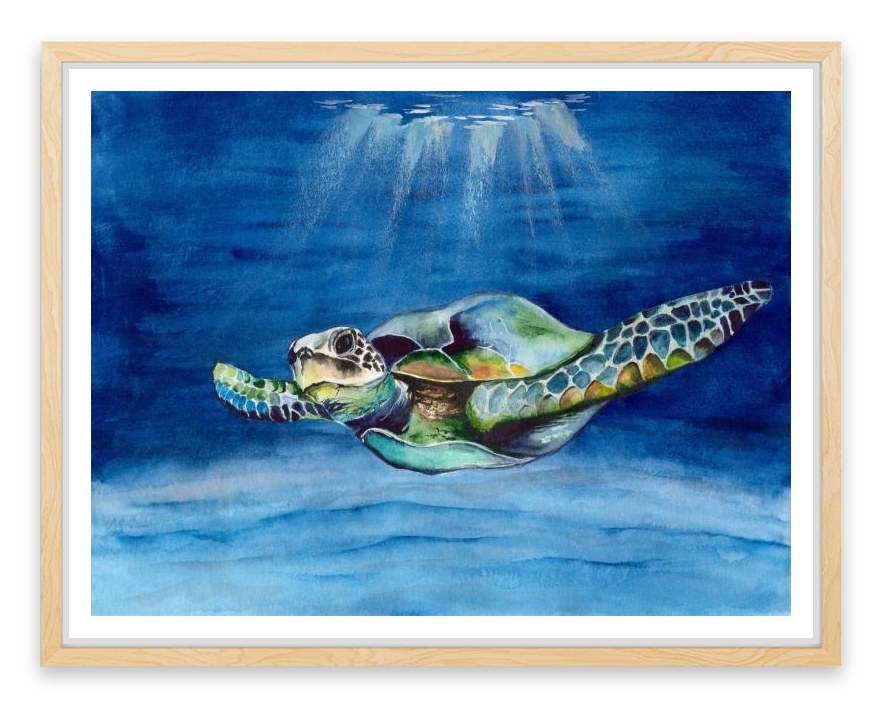 Green sea turtle