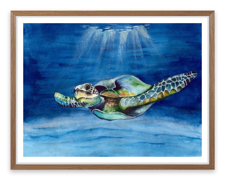 Green sea turtle