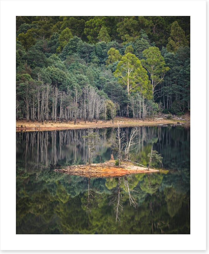 In the forest lake