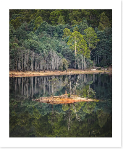 In the forest lake