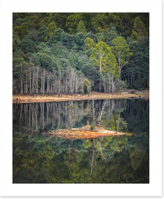 In the forest lake