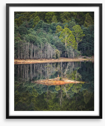 In the forest lake