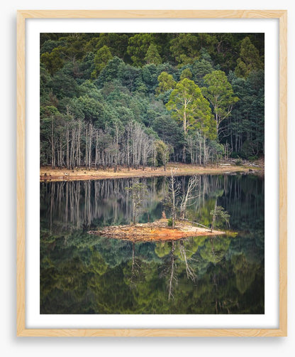 In the forest lake