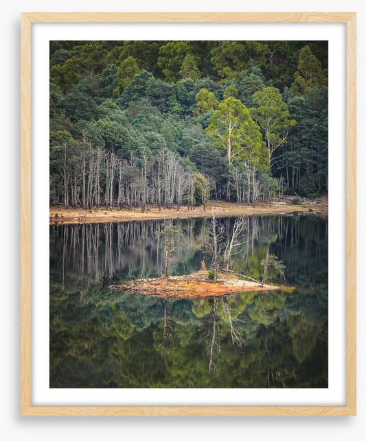 In the forest lake