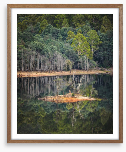 In the forest lake