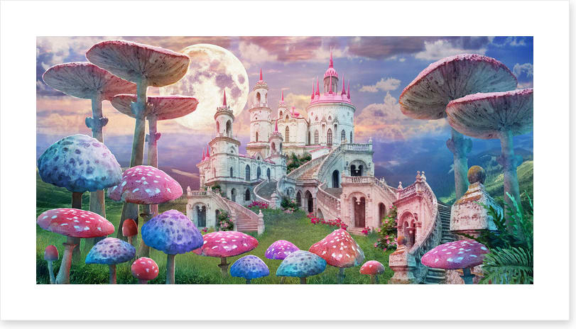 Castle of the wonderland