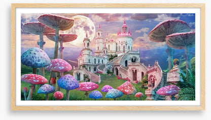 Castle of the wonderland