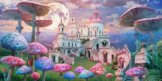 Castle of the wonderland