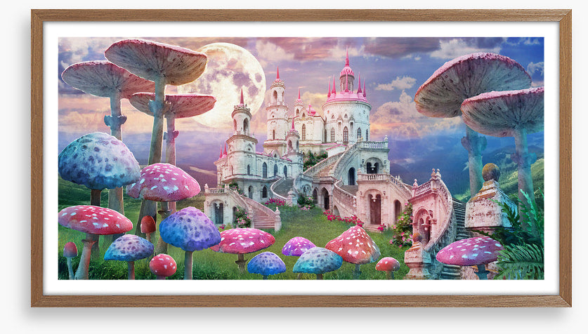 Castle of the wonderland