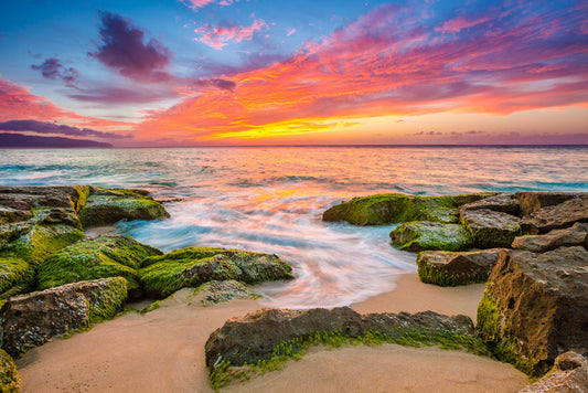 Oahu aloha