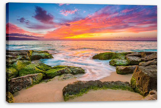 Oahu aloha