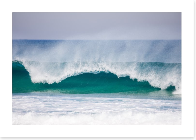 Surfer's dream