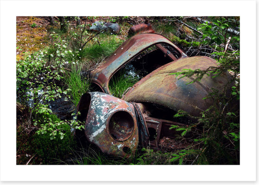 Forgotten by time