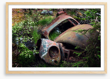 Forgotten by time