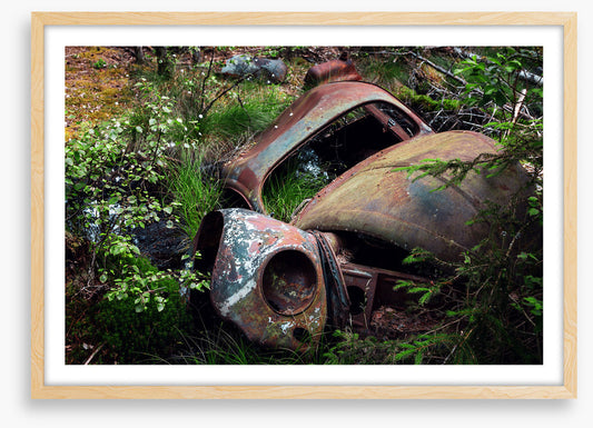 Forgotten by time
