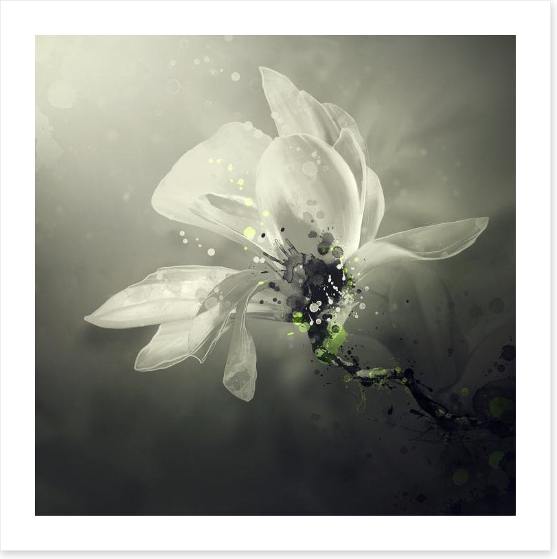 Jasmine scent