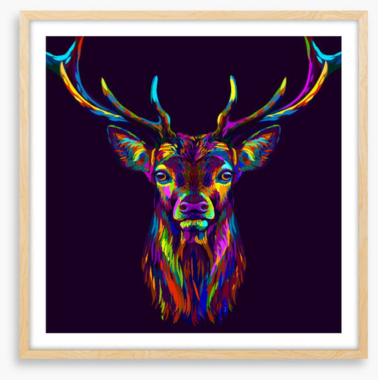 Neon deer
