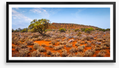 Outback