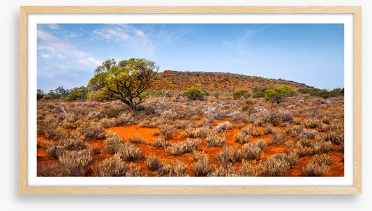 Outback