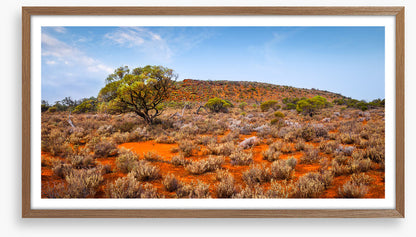 Outback
