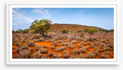 Outback