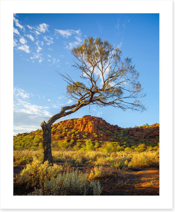 Outback