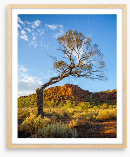 Outback