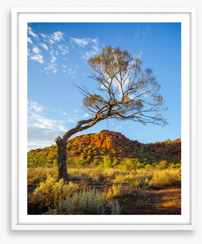 Outback