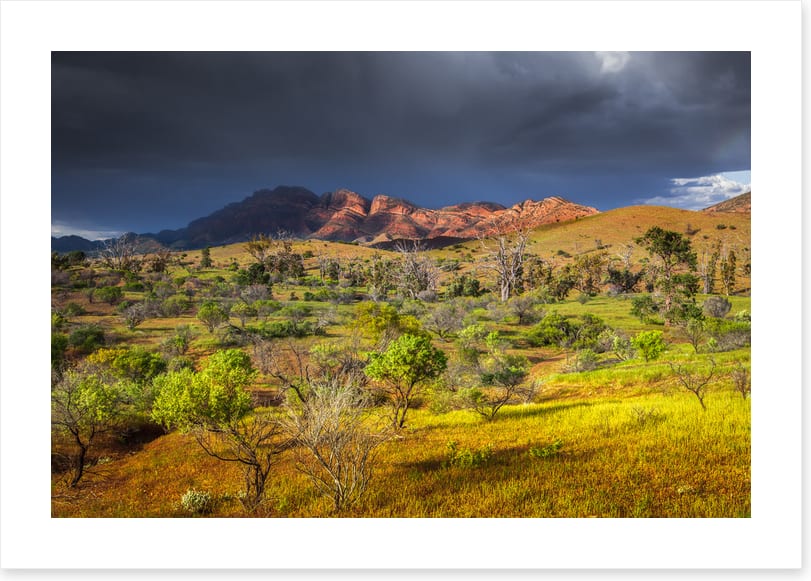 Stormy sunlight